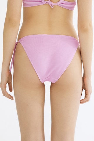Penti Lila Monica Bikini Altı