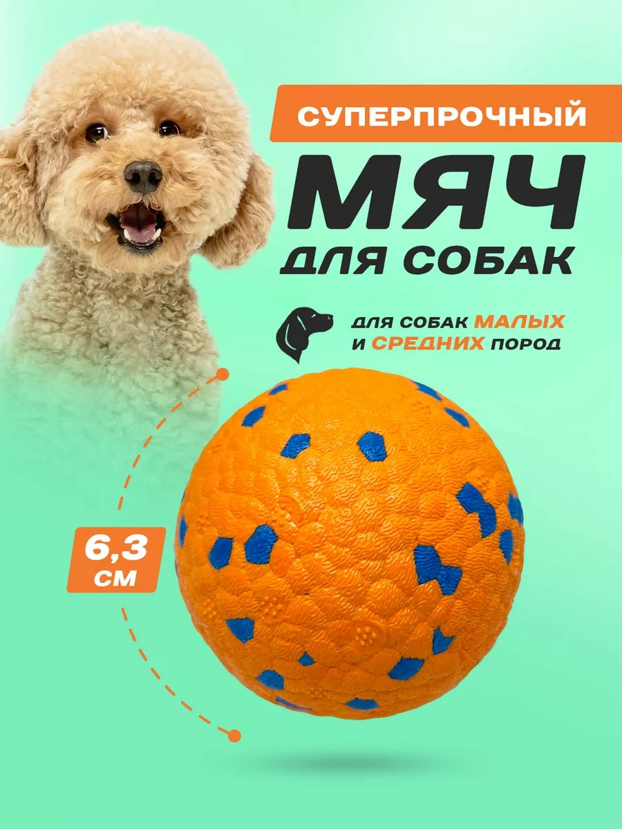 Purrfect Place Köpekler İçin Oyuncak, Süper Dayanımlı Top 201068037