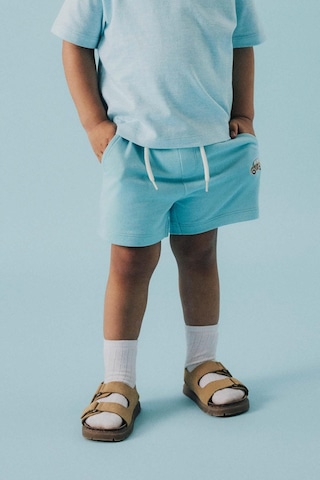 Nmmfrıtzo Nreg Swe Shorts Mavı- Erkek Çocuk Şort Çok Renkli