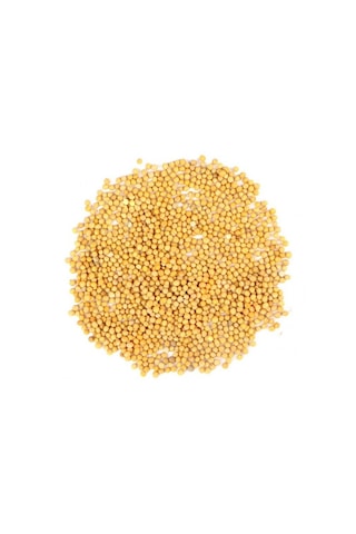 Sarı Hardal Tohumu 100gr. Elenmiş & Katkısız Taze Mahsül