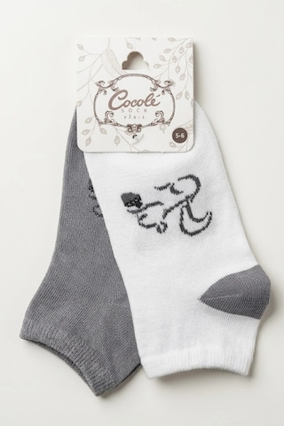 Cocole Socks Erkek Çocuk Patik Çorabı 2 Li Set Beyaz & Gri Sincap Desenli Çok Renkli