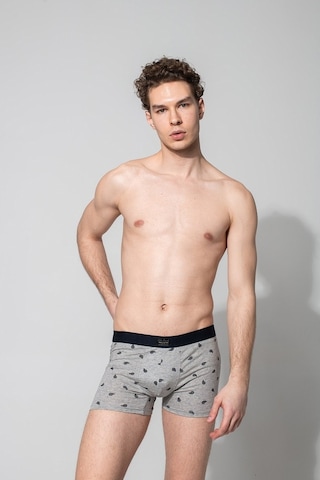 John Frank Urban Couture Gri Boxer (488749171)