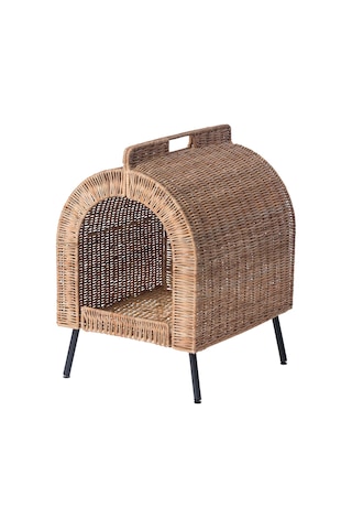 Utsadd Kedi Evi, Rattan