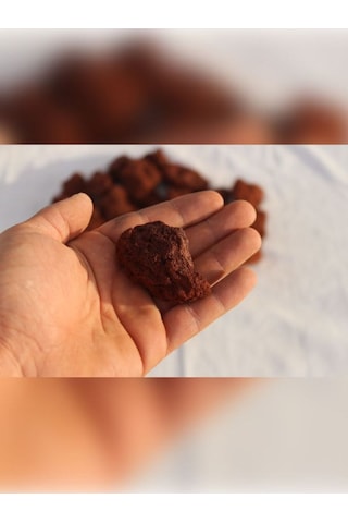 Karışık Ponza Taşı Volkanik Cüruf 25-50mm 5lt Saksı Bahçe Akvaryum Teraryum Peyzaj Ponzası 100