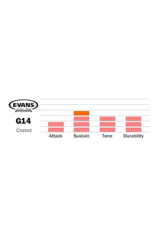 Evans B16g14 G14 Coated 16 İnç Tom Derisi Profesyonel 14 Mil
