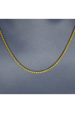 Hedea 2 Mm Gold Kadın Çelik Kolye 60 Cm Gold