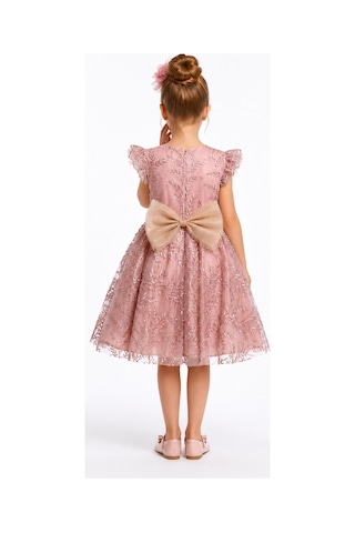 Mnk Baby & Kids Floare Kız Çocuk Abiye Elbise M00850 Pudra
