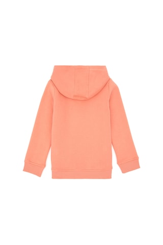 U.S. Polo Assn. Kız Çocuk Somon Kapüşonlu Basic Sweatshirt 50296388-VR047