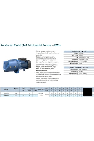 Grandfar Jswm110 Jet Pompa 1,5 Hp - Pirinç Çarklı