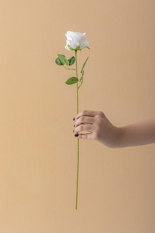 Yapay Kadife Gül Tek Dal Beyaz 50 Cm