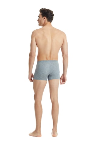 Blackspade 9310 Erkek 2'li Ekonomik Paket %94 Modal Silver Boxer Gri Melanj