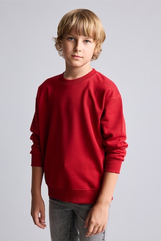 Defacto Bisiklet Yaka İçi Yumuşak Tüylü Basic Sweatshirt Erkek Çocuk I1419a826wnbr244 Kırmızı-br244
