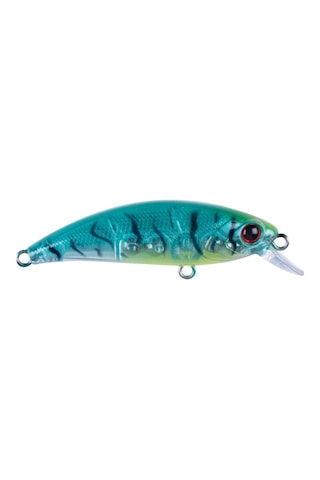 Hanfish Zıpır 50 Kg Spk-23 Tropical Shrimp