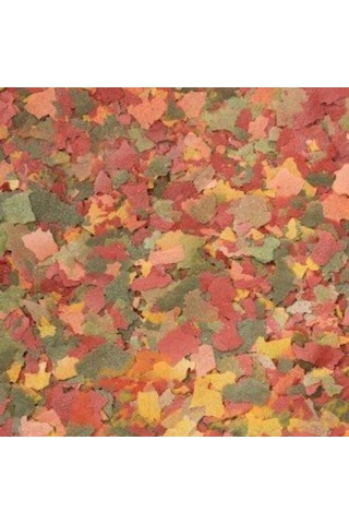 Dajana Basic Flakes Pul Balık Yemi 100 Gr (Açık)