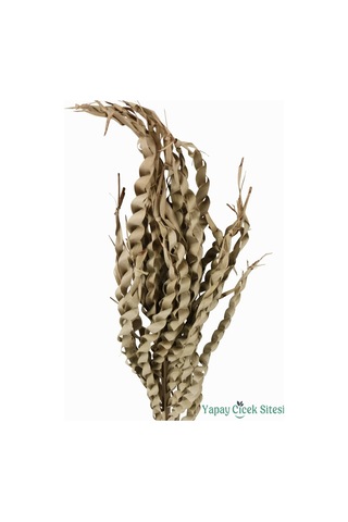 Yapay Çiçek Sitesi Kuru Çiçek Doğal Yılan Örgü Palm Snake Stems 75 Cm 5li Naturel