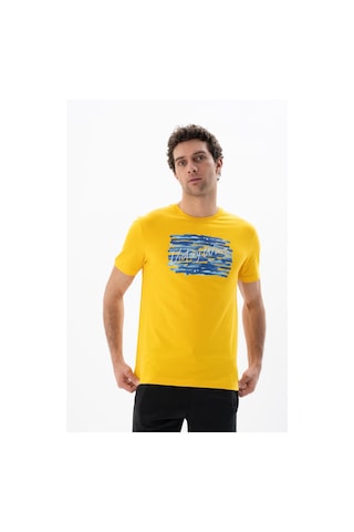 AR-MA Arma Erkek Regular Fit Bisiklet Yaka Tişört Y25344403001 Sarı