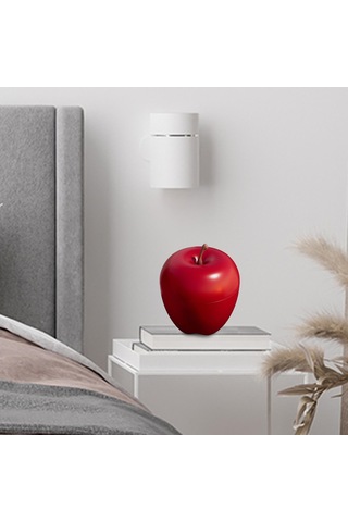 Homyl 3x Küçük Plastik Meyve Kapları Sevgililer Günü Kırmızı