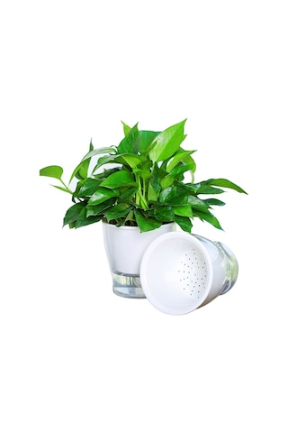 Tamamen Şeffaf Hidroponik Saksılar Su Seviyesi Görünür Kırılmamış Tutkal Kendinden Emici Plastik Saksılar, Boyut: W10 Kalibre 17.5cm Tam Şeffaflık