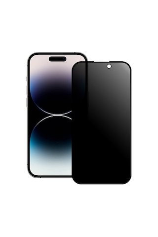 Apple Uyumlu iPhone 16 Anti Statik Hayalet Cam Ekran Koruyucu
