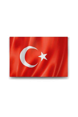 Bayrağı Tablosu - 100x70cm Diğer
