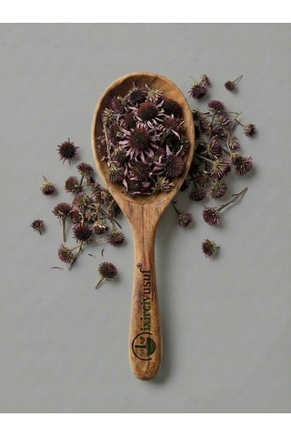 Ekinezya Ekinezya Otu Echinacea Kurutulmuş Bitki Çayı 100 G Doğal