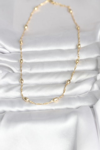 Tua Moda Cm 14k Gold Renk Burgu Zincirli Damla Topçuk Model 45 Cm Kadın Kolye Çok Renkli