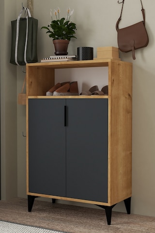 1204 Ada Ayakkabılık 4 Raflı 2 Kapaklı Çok Amaçlı Dolap Antrasit Safir Antrasit Safir