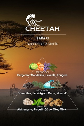 Cheetah Safari Citrus & Marine Erkek Sprey Deodorant 150 ML