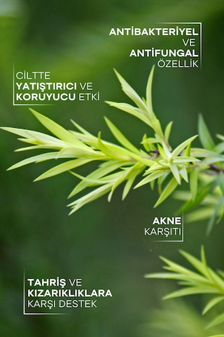 Tto Çay Ağacı Yağı 10Ml