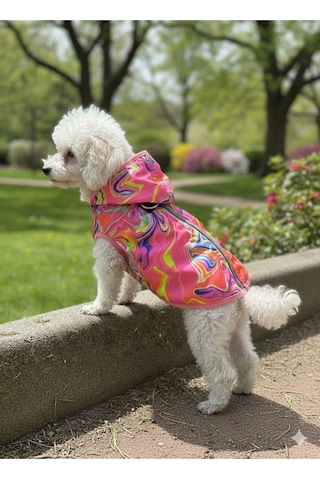 Patilinka Kedi Köpek Kışlık Kıyafet Gökkuşağı Pembe Yağmurluk