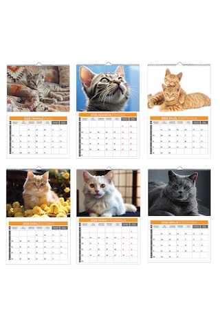 2026 Kedi Planlamalı Duvar Takvimi-33x48