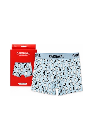 Carnaval Socks Penguen Desenli Erkek Boxer Pamuklu Likralı Parlak Lastikli Kutulu Açık Mavi Çoklu