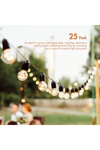 Neoglint Ac230v G40 Küre Tungsten Akkor Ampul Lamba 25 P Ak E12 Taban Soket Tutucu Ip44