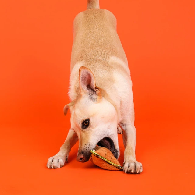 Xtreme Seamz Lion Peluş Köpek Oyuncağı Small