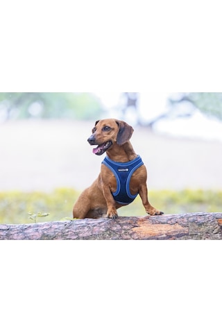 Beeztees Köpek Göğüs Tasması, Neopren, Mavi, S, 38-44cm Çok Renkli