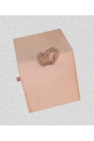 Hobi Dekoratif Model Minik Kuş Yuvası Ahşap HAM MDF El Yapımı