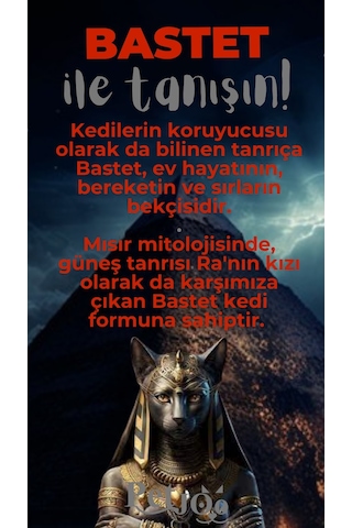 Petjoo 1.Bastet Gri-Kırmızı Qr'lı Kedi Künyesi
