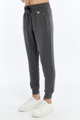 Axxel Erkek Gri Yüksek Bel Ön Arka Cepli Eşofman Altı-p782 Gri