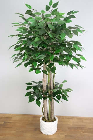 Yapay Benjamin Ağacı 105 Cm Yeşil