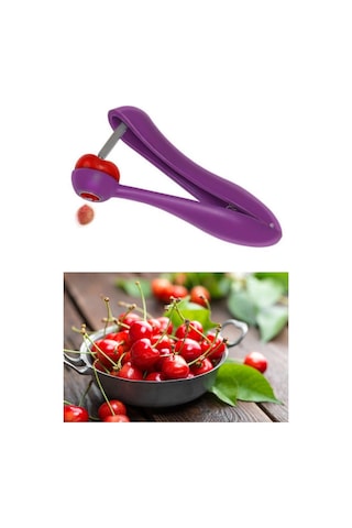 River World Pratik Kolay Zeytin ve Vişne Çekirdeği Çıkarma Aleti Aparatı