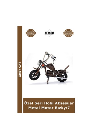 Özel Seri Hobi Aksesuar Metal Motor Rızky:7