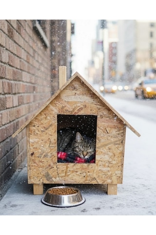 Reyo Kedi Evi Dış Ortam Uygun Ahşap Kedi Evi Osb 46 x 34 x 34 CM CAT26
