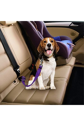 Ankaflex Evcil Hayvan Araç Emniyet Kemeri