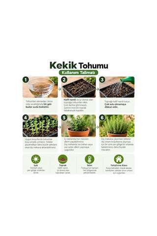 Sunagri Kekik Tohumu Saksı Bahçe Balkon Aromatik Bitki Yetiştiriciliği 40 Adet