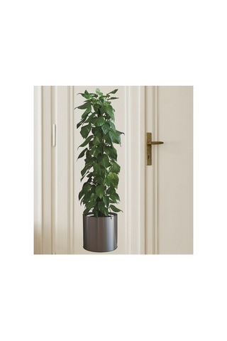 Saksılı Bitki Tasarımlı Yapışkanlı Sticker Resim 90 30 Cm Şeffaf