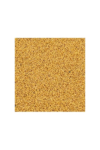 Hardal Sarı 300g