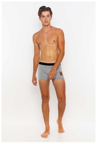 Redowl Baykuş Baskılı Gri 2'Li Boxer Gri