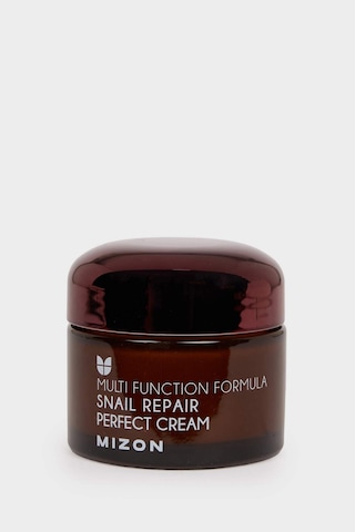 Defacto Mizon Snail Repair Perfect Cream Salyangoz Özlü Nemlendirici Yüz Kremi 50 ml H3448AXNS