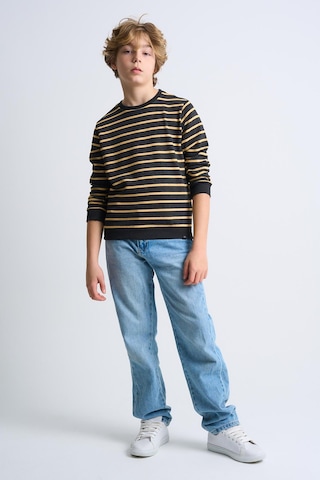 Alexandergardi Alexandergardı Çizgili Bisiklet Yaka Çocuk Sweatshirt Antrasit