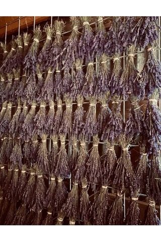Pureal Kurutulmuş Doğal Lavanta Demeti